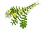 Instructions for use for GASTEO Kapi za gastrointestinalne tegobe, 20 ml - 8