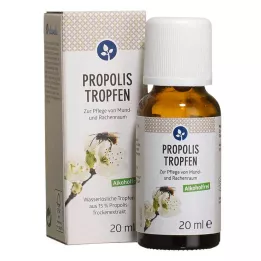 PROPOLIS TROPFEN bez alkohola, 20 ml