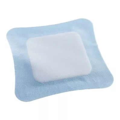 Vliwasorb Pro suberabsorb.Komp.steril 22x22 cm, 10 kom