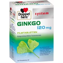 DOPPELHERZ Ginkgo 120 mg system filmom obložene tablete, 120 kom