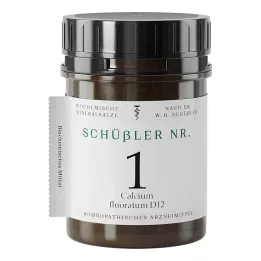 SCHÜSSLER NR.1 Calcium fluoratum D 12 tableta, 400 kom