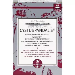 CYSTUS Pandalis pastile, 66 kom