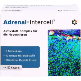 ADRENAL-Intercell kapsule, 120 kom