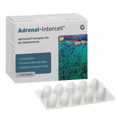 Adrenal-Intercell kapsule, 120 kom Adrenal-Intercell kapsule, 120 kom