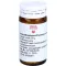 ARNICA/EPIPHYSIS/PLUMBUM komp.B globule, 20 g