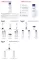 Instructions for use for Eucerin UreaRepair originalni losion 3%, 250 ml - 2