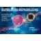 Thomapyrin TENSION DUO 400 mg / 100 mg filmom obložene tablete, 12 kom