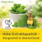 Ginkgo-Maren 240 mg filmom obložene tablete, 60 kom