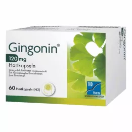 GINGONIN 120 mg tvrde kapsule, 60 kom
