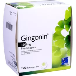 GINGONIN 120 mg tvrde kapsule, 120 kom