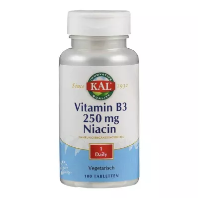 VITAMIN B3 NIACIN 250 mg tablete, 100 kom