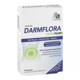 DARMFLORA Active Plus 100 milijardi bakterija + 7 vitamina, 40 kom