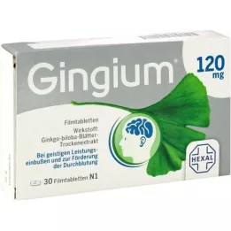 GINGIUM 120 mg filmom obložene tablete, 30 kom