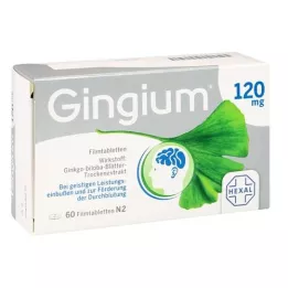 GINGIUM 120 mg filmom obložene tablete, 60 kom