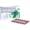 GINGIUM 120 mg filmom obložene tablete, 60 kom