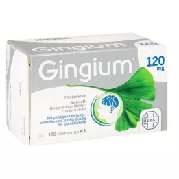GINGIUM 120 mg filmom obložene tablete, 120 kom