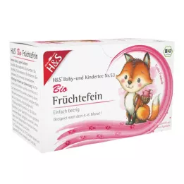 H&S Organski dječji i dječji čaj voćna fina filter vrećica, 20X2,5 g