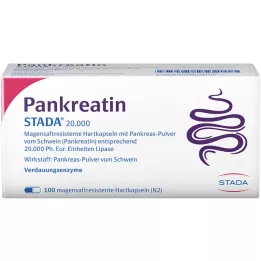 PANKREATIN STADA 20 000 tvrdih kapsula želučanog soka, 100 komada