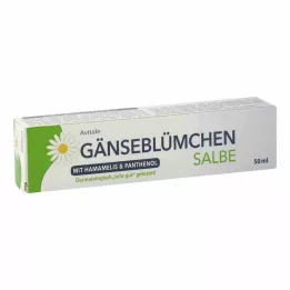 GÄNSEBLÜMCHEN Mast s hamamelisom &amp; Panthenol, 50 ml