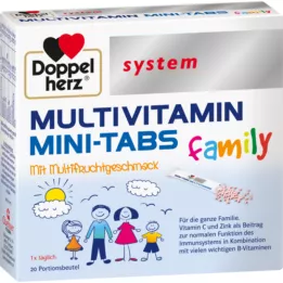 DOPPELHERZ Multivitamin Mini-Tabs obiteljski sustav, 20 kom