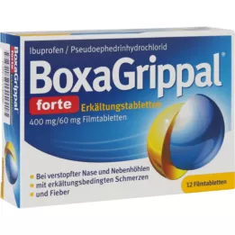 BOXAGRIPPAL forte cold tab. 400 mg/60 mg FTA, 12 kom