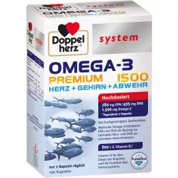 DOPPELHERZ Omega-3 Premium 1500 system kapsule, 120 kom