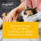 Engystol® oglas za veterinara, tablete, 100 kom