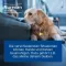 Nurexan ad us.veterinar.Tablete, 500 kom