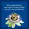 Nurexan ad us.veterinar.Tablete, 500 kom
