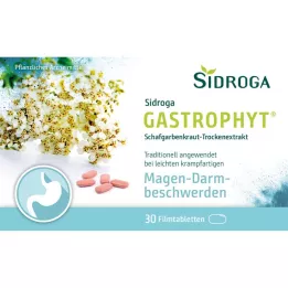 SIDROGA GastroPhyt 250 mg filmom obložene tablete, 30 kom