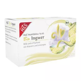 H&amp;S Filter vrećica organskog đumbira, 20X2 g