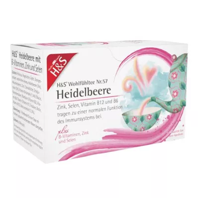 H&amp;S borovnica sa B vitaminima cinkom i selenom Fsachet, 20X2,5 g