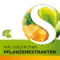 Dobensana biljni med Vitamini C &amp; Cink pastila.(16 komada)