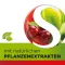 Dobensana Herbal Kirschgeschm.vit.c &amp; Zinc pastil.(16 komada)