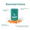 Ipalat Pastilles Flavor Edition Summer Mint (40 komada)