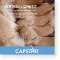 CAPSTAR 11,4 mg tablete za mačke/male pse, 1 kom
