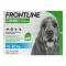 FRONTLINE COMBO protiv krpelja, buha na psima M (10-20 kg), 3 kom