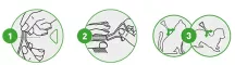 Instructions for use for FRONTLINE COMBO SPOT ON Mačka, 6 kom - 5