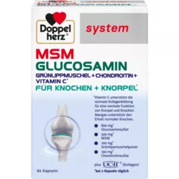 DOPPELHERZ MSM Glucosamine System kapsule, 60 kom