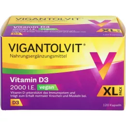 VIGANTOLVIT 2000, tj. Vitamin D3 Vegan Weichkaps., 120 ST