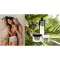 Plantana Olive Care kupka za tuširanje s organskom maslinom, 500 ml