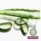 Plantana Aloe Vera Care kupka za tuširanje s organskom aloe verom, 500 ml