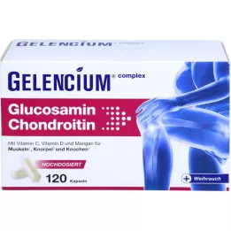 GELENCIUM Glukozamin Kondroitin visoke doze Vit C Kps, 120 kom