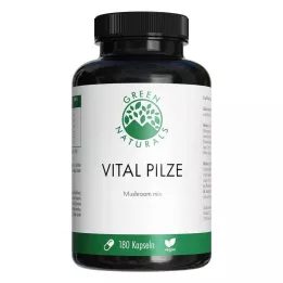 GREEN NATURALS Vital Mushrooms Cordyceps Reishi vegan, 180 kom